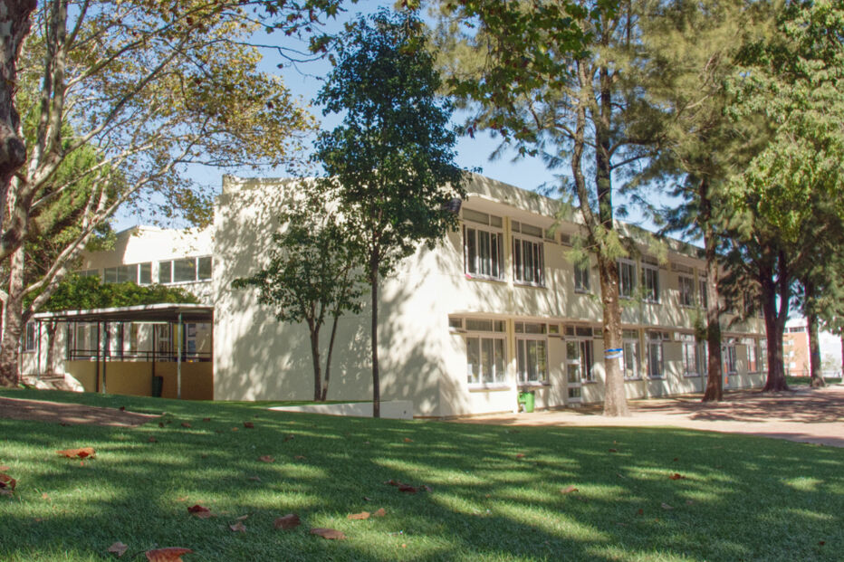 Pais causam pânico em escola na Amadora