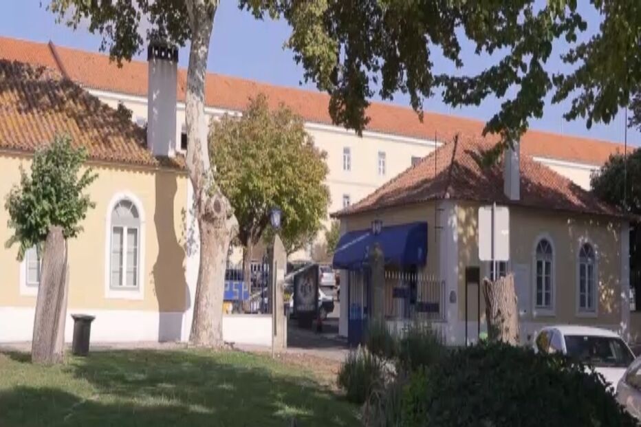 Percevejos infestam alojamentos da Escola Prática da PSP em Torres Novas