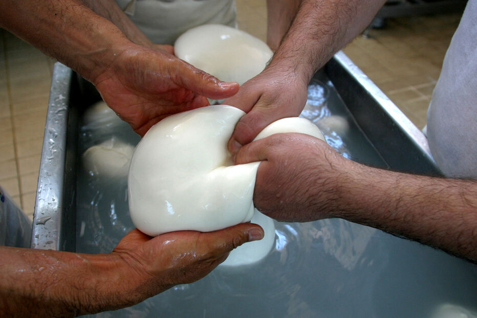 Produção de queijo mozzarella